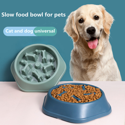 Pet bowl 01